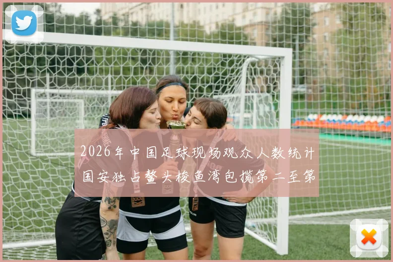 2026年中国足球现场观众人数统计国安独占鳌头梭鱼湾包揽第二至第七位